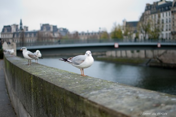 Instants-insolites 0159