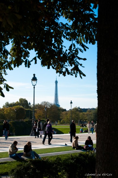 Tour-Eiffel-0498