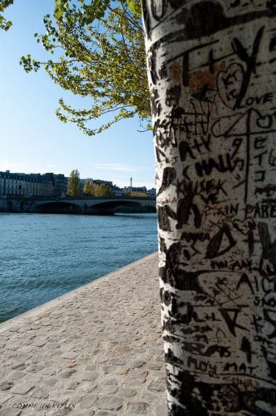 Promenade-parisienne 0602