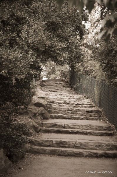 Buttes-Chaumont 0005