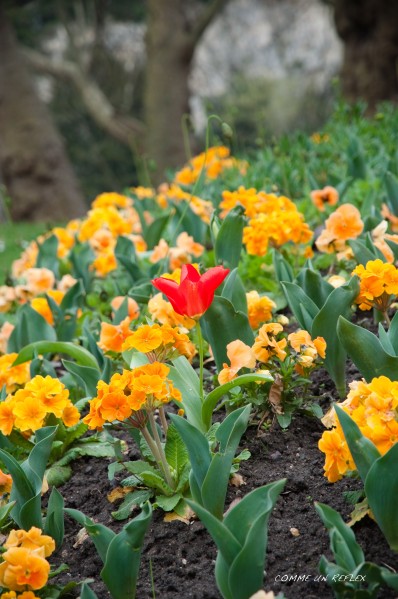 Buttes-Chaumont 0029