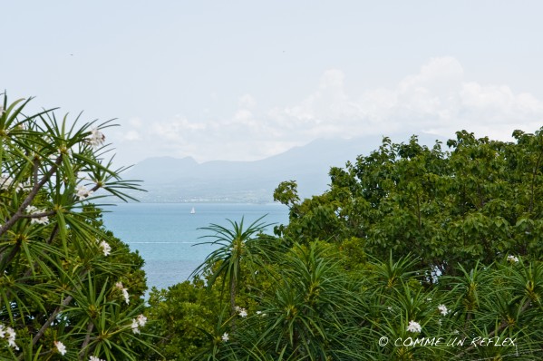 Plusieurs vues de bord de mer en Guadeloupe.Vue-sur-mer 0536