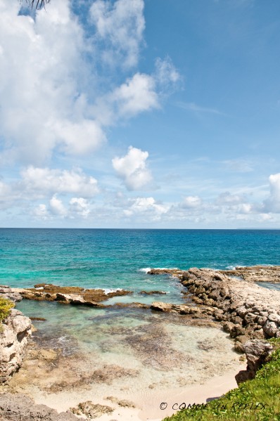 Plusieurs vues de bord de mer en Guadeloupe.Vue-sur-mer 0856